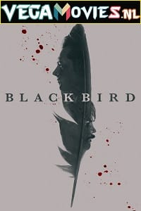  Black Bird (2022) Season 1 [S01E06 Added] [English With Hindi - English Subtitles] Appletv- Original 720p HEVC [250MB] WEB-DL