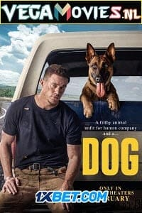  Dog (2021) Hindi [Voice Over] Full Movie WEBRip 720p [922MB]