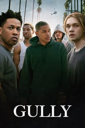  Gully (2019) Dual Audio [Hindi - English] WeB-DL 480p [300MB] | 720p [900MB] | 1080p [1.7GB]