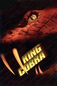  King Cobra (1999) Dual Audio {Hindi-English} 480p [300MB] | 720p [1GB] BluRay