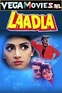  Laadla (1994) Hindi Full Movie WEB-DL 480p [450MB] | 720p [1.3GB] | 1080p [3.5GB]