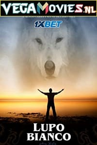  Lupo Bianco (2022) Hindi [Voice Over] Full Movie WEB-DL 720p [1GB]
