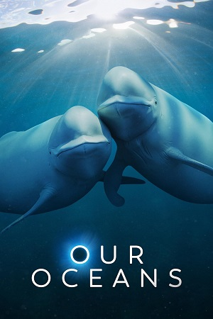 Download  Our Oceans (2024) Season 1 Netflix Original – Dual Audio {Hindi-English} WEB Series 1080p & 720p WEB-DL