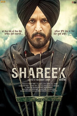 Download  Shareek (2015) HDRip Punjabi Full Movie 480p [400MB] | 720p [1.2GB] | 1080p [3.4GB]