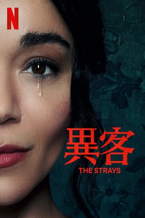 Download  The Strays – Netflix Original (2023) WEB-DL Dual Audio {Hindi-English} 480p [300MB] | 720p [650MB] | 1080p [1.3GB]