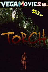  Torch (2021) Hindi Voice Over Full Movie WEB-DL 720p [1GB]