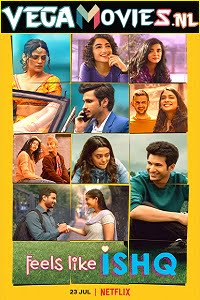 Download  Feels Like Ishq (2021) Season 1 Hindi Complete Netflix WEB Series 480p | 720p WEB-DL