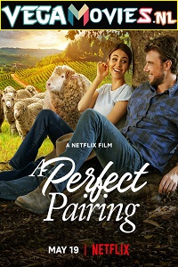 Download A Perfect Pairing (2022) Dual Audio {Hindi-English} 480p [400MB] | 720p [920MB] | 1080p [2GB]