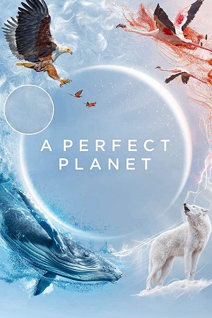 Download A perfect Planet (Season 1) Dual Audio [Hindi + English] Complete Web Series Esubs 720p [400MB]