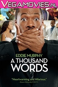 Download A Thousand Words (2012) Dual Audio {Hindi-English} 480p [300MB] | 720p [800MB]