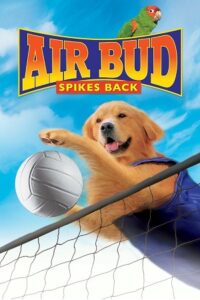 Download Air Bud – Spikes Back (2003) WEB-DL Dual Audio {Hindi-English} 480p [290MB] | 720p [790MB] | 1080p [1.8GB]