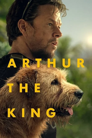 Download Arthur the King (2024) BluRay Dual Audio {Hindi-English} 480p [530MB] | 720p [1.2GB] | 1080p [2.9GB]