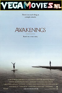 Download Awakenings (1990) Dual Audio {Hindi-English} 480p [500MB] | 720p [1.2GB] | 1080p [2.3GB]