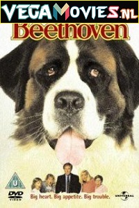 Download Beethoven (1992) Dual Audio {Hindi-English} 480p [300MB] | 720p [900MB]