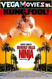 Download Beverly Hills Ninja (1997) Dual Audio {Hindi-English} 480p [300MB] | 720p [1GB]