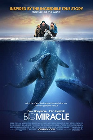 Download Big Miracle (2012) Dual Audio {Hindi-English} 480p [500MB] | 720p [1GB] | 1080p [2GB]