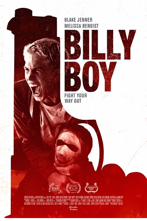 Download Billy Boy (2017) WEB-DL Dual Audio {Hindi-English} 480p [300MB] | 720p [800MB] | 1080p [1.5GB]