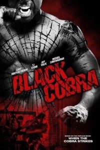 Download Black Cobra (2012) Dual Audio {Hindi-English} 480p [300MB] | 720p [800MB] BluRay