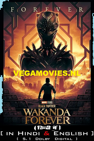 Download Black Panther: Wakanda Forever (2023) iMAX Dual Audio [Hindi DD5.1 – English] 480p [500MB] | 720p [1.4GB] | 1080p [3GB] | 2160p