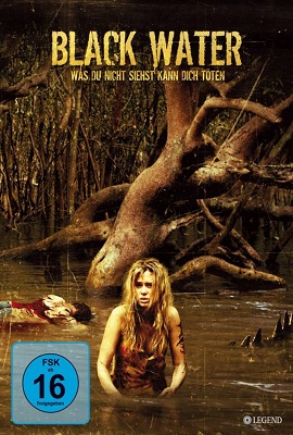 Download Black Water (2007) Dual Audio {Hindi-English} 480p [300MB] | 720p [1GB]