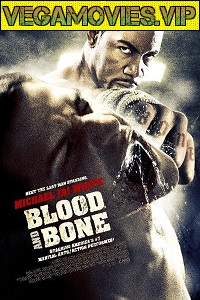 Download Blood and Bone (2009) Dual Audio {Hindi-English} 480p [300MB] | 720p [700MB]