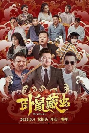 Download Brothers (2022) WEB-DL Dual Audio {Hindi-Chinese} 480p [300MB] | 720p [790MB] | 1080p [2.4GB]