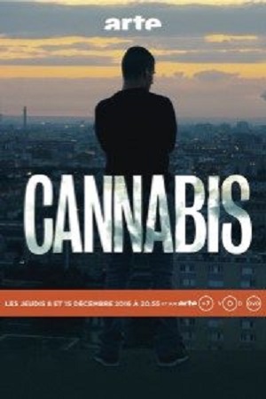 Download Cannabis (2016) Season 1 Hindi Complete MX Original WEB Series 480p | 720p HDRip