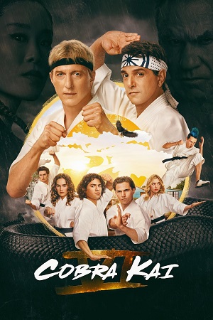 Download Cobra Kai (2024) Season 6 [Part-1] Dual Audio {Hindi-English} NetFlix-Series 480p | 720p | 1080p WEB-DL