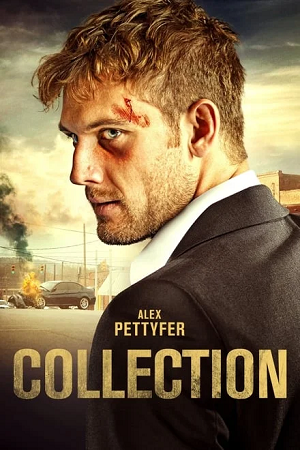 Download Collection (2021) Dual Audio {Hindi-English} 480p [315MB] | 720p [900MB] BluRay