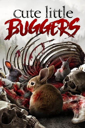 Download [18+] Cute Little Buggers (2017) Dual Audio {Hindi-English} 480p [350MB] | 720p [1GB]