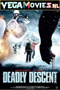 Download Deadly Descent (2013) Dual Audio {Hindi-English} 480p [300MB] | 720p [1GB]