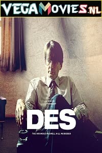 Download Des (2020) Season 1 Dual Audio {Hindi-English} 480p | 720p HDRip