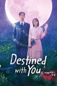 Download Destined With You – Netflix Original (2023) Season 1 Complete Dual Audio {Hindi-Korean} Series 480p | 720p | 1080p WEB-DL