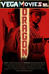 Download Dragon (2011) Dual Audio {Hindi-English} 480p [300MB] | 720p [750MB]