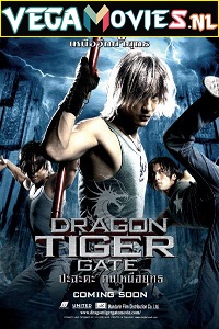 Download Dragon Tiger Gate (2006) Dual Audio {Hindi-Chinese} 480p [450MB] | 720p [850MB] | 1080p [2GB]