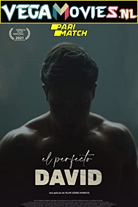 Download El Perfect David (2021) Hindi Voice Over Full Movie WEB-DL 720p [1GB]