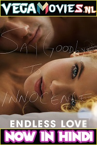 Download Endless Love (2014) Dual Audio {Hindi-English} 480p [350MB] | 720p [900MB] | 1080p [1.8GB]