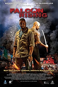 Download Falcon Rising (2014) Dual Audio Hindi 480p [300MB] || 720p [800MB]