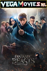 Download Fantastic Beasts and Where to Find Them (2016) Dual Audio {Hindi-English} 480p [450MB] | 720p [1GB] | 1080p [3GB] | 2160p [5GB]
