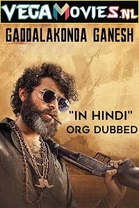 Download Gaddalakonda Ganesh (2019) WEB-DL [Hindi Dubbed] Full Movie 480p [550MB] | 720p [950MB] | 1080p [2.4GB]