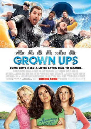 Download Grown Ups (2010) Dual Audio Hindi 480p [400MB] | 720p [800MB]