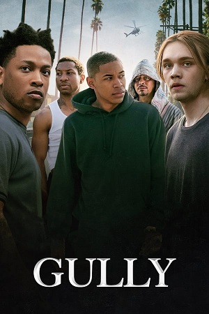 Download Gully (2019) Dual Audio [Hindi + English] WeB-DL 480p [300MB] | 720p [900MB] | 1080p [1.7GB]