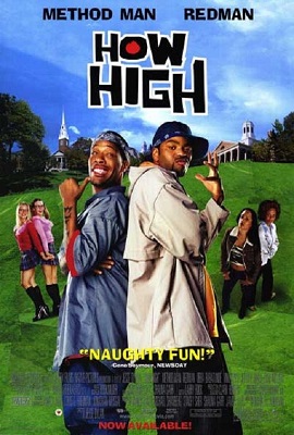 Download How High (2001) Dual Audio {Hindi-English} 480p [330MB] | 720p [950MB] | 1080p [2.8GB]