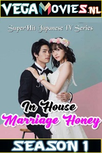 Download In House Marriage Honey (2020) Season 1 Complete All Episodes in Hindi [ORG] 480p [500MB] | 720p [1GB] WEB-DL