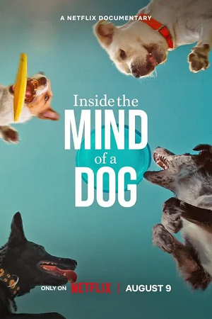 Download Inside The Mind Of A Dog (2024) WEB-DL Dual Audio {Hindi-English} 480p [250MB] | 720p [690MB] | 1080p [1.6GB]