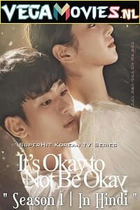 Download Its Okay to Not Be Okay (Season 1) Dual Audio [Hindi-Korean] Complete Netflix Web Series 480p [200MB] | 720p [500MB]