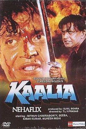 Download Kaalia (1997) Hindi Full Movie WEB-DL 480p [400MB] | 720p [1.3GB] | 1080p [3.6GB]