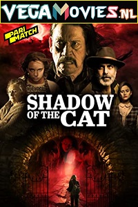 Download La Sombra Del Gato (2021) Hindi Voice Over Full Movie WEB-DL 720p [1GB]