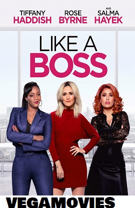 Download Like a Boss (2020) Dual Audio Hindi BluRay 480p [320MB] | 720p [750MB] | 1080p [2.6GB]