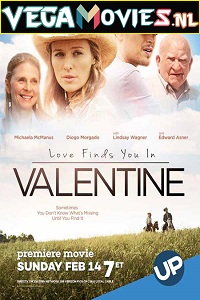 Download Love Finds You in Valentine (2016) Dual Audio {Hindi-English} 480p [300MB] | 720p [750MB]